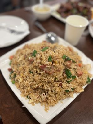 Golden Pheasant by null