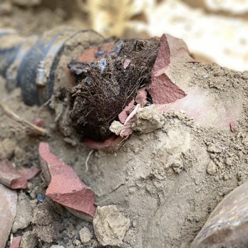 True Flow Plumbing - Major root Intrusion damaging terra cotta clay pipe - Plumbing Near Me - Wilmington, California True Flow Plumbing - Major root Intrusion damaging terra cotta clay pipe - Plumbing Near Me - Wilmington, California