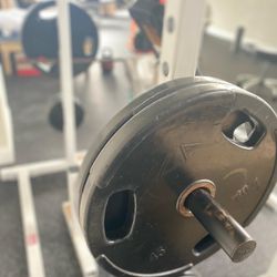 Move More Physical Therapy