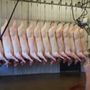 Photo of Horns Custom Butcher Shop