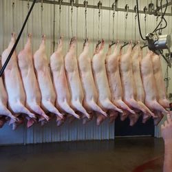 Horns Custom Butcher Shop