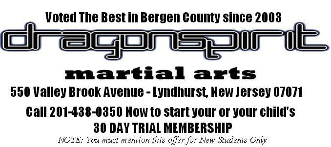 Dragon Spirit Martial Arts Logo