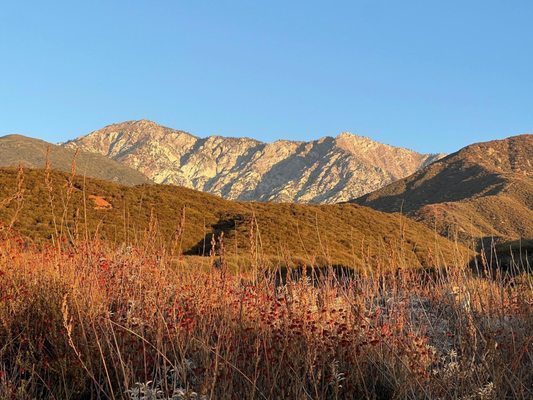 North Etiwanda Preserve by null