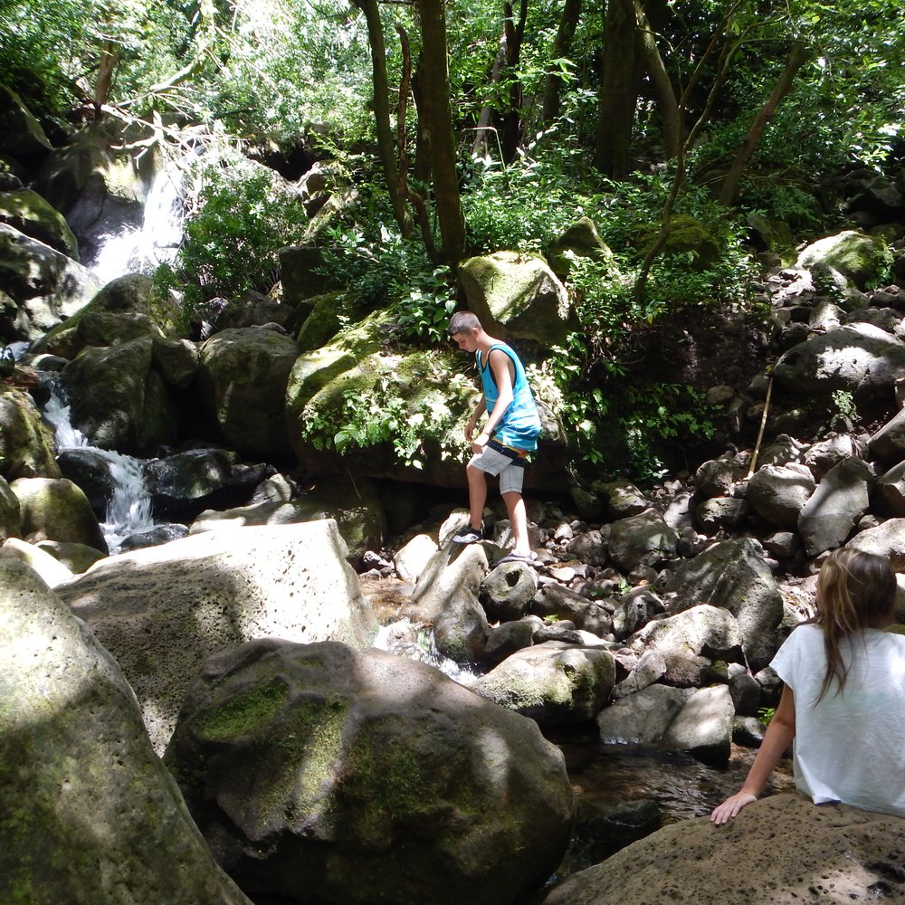 Lulumahu Falls - Hiking Near Me - Honolulu, Hawaii Lulumahu Falls - Hiking Near Me - Honolulu, Hawaii