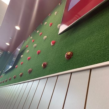 GYRO KING & GRILL - A wall full of cricket balls and TVs! - Mediterranean Near Me - Kendall Park, New Jersey