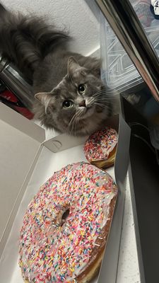 Dough Boy Donuts by null