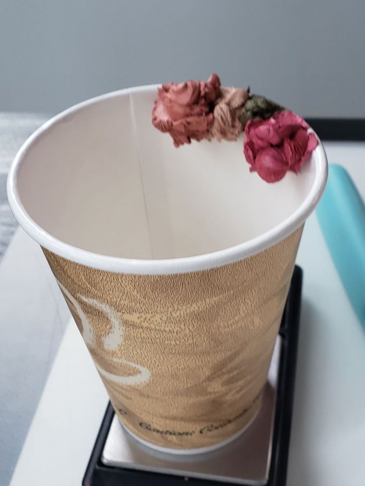 SUBURBIA HAIR SPA Updated October 2024 34 Photos 111150 Bellerose Drive, Saint Albert