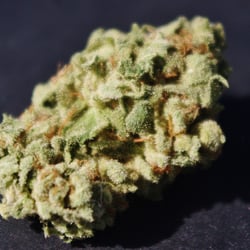 Green Cross Recreational Marijuana Dispensary - Www.siltpot.com