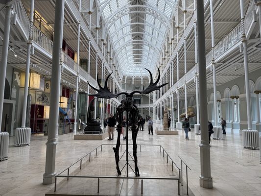 National Museum of Scotland by null