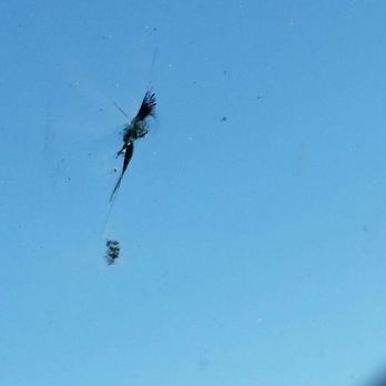 Clear Choice Windshield Repair and Tint - Before. After it looked like a clean raindrop! - Windshield Installation & Repair Near Me - Corona, California