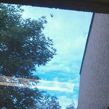 Citibank - Look at these huge spiders on the window what a morning surprise! - Banks & Credit Unions Near Me - Sioux Falls, South Dakota Citibank - Look at these huge spiders on the window what a morning surprise! - Banks & Credit Unions Near Me - Sioux Falls, South Dakota