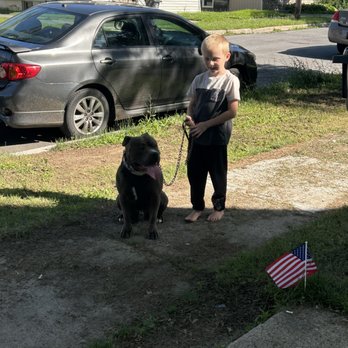 K9  Academy - this is after I worked with my clients, and her kid can now walk the dog. I love my job. - Pet Training Near Me