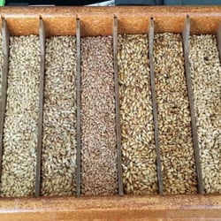 Bear Valley Hydroponics & Homebrewing - We have an extensive offering of malts for all you homebrewers.