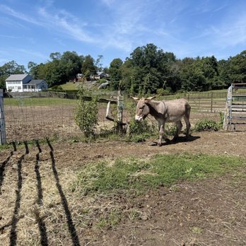 Butterfly Farm - Fruits & Veggies Near Me - Lincoln, Rhode Island