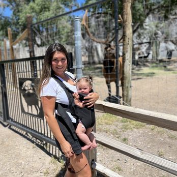 Zoo Idaho- Pocatello - Zoo Idaho - Aquarium Services Near Me - Pocatello, Idaho Zoo Idaho- Pocatello - Zoo Idaho - Aquarium Services Near Me - Pocatello, Idaho