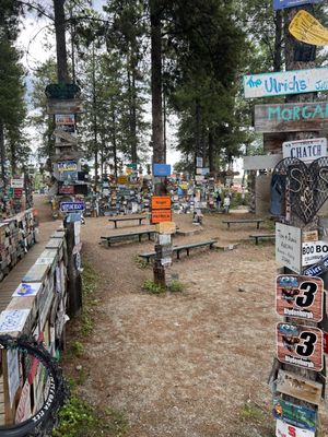 Sign Post Forest by null