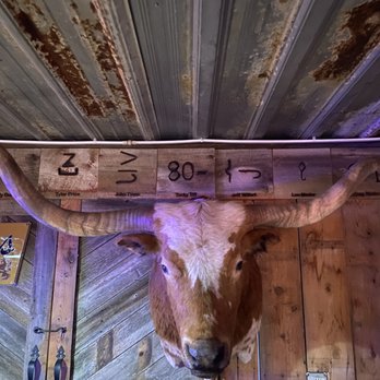 Wasta Bar - a bull's head mounted on the wall - Bars Near Me - Wasta, South Dakota