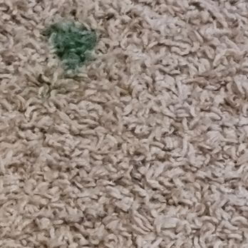 1st Resort Carpet Cleaning - Carpet stain after 1st Resort Cleaning - Carpet Cleaning Near Me - Denver, Colorado