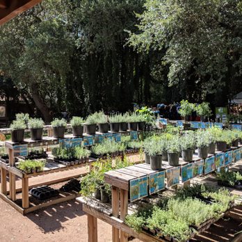 Rainbow Gardens - Nurseries & Gardening Near Me - San Antonio, Texas