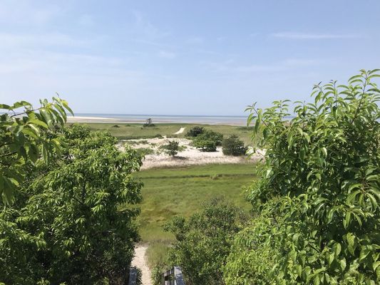 Cape Cod Museum Of Natural History by null