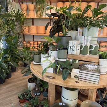 Bellwood Coffee - Coffee Roasteries Near Me - Atlanta, Georgia