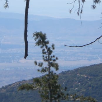 Fern Basin Campground - Hiking Near Me