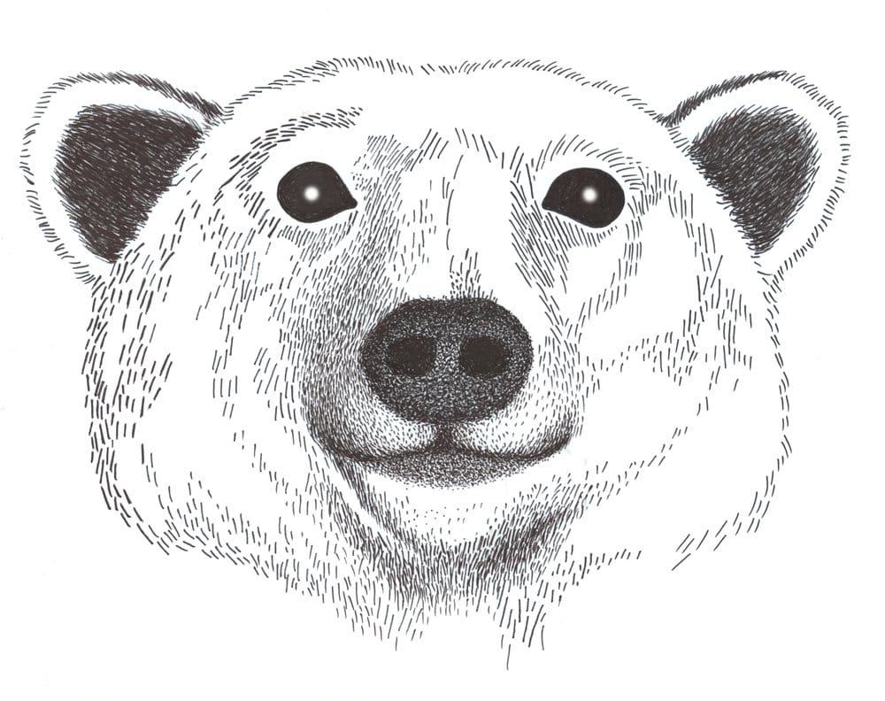 Slide of Robert Bair Plumbing Heating & Air