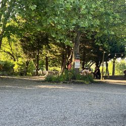 Wilderness Run Vineyards - Entrance to to whole shaBang!!!