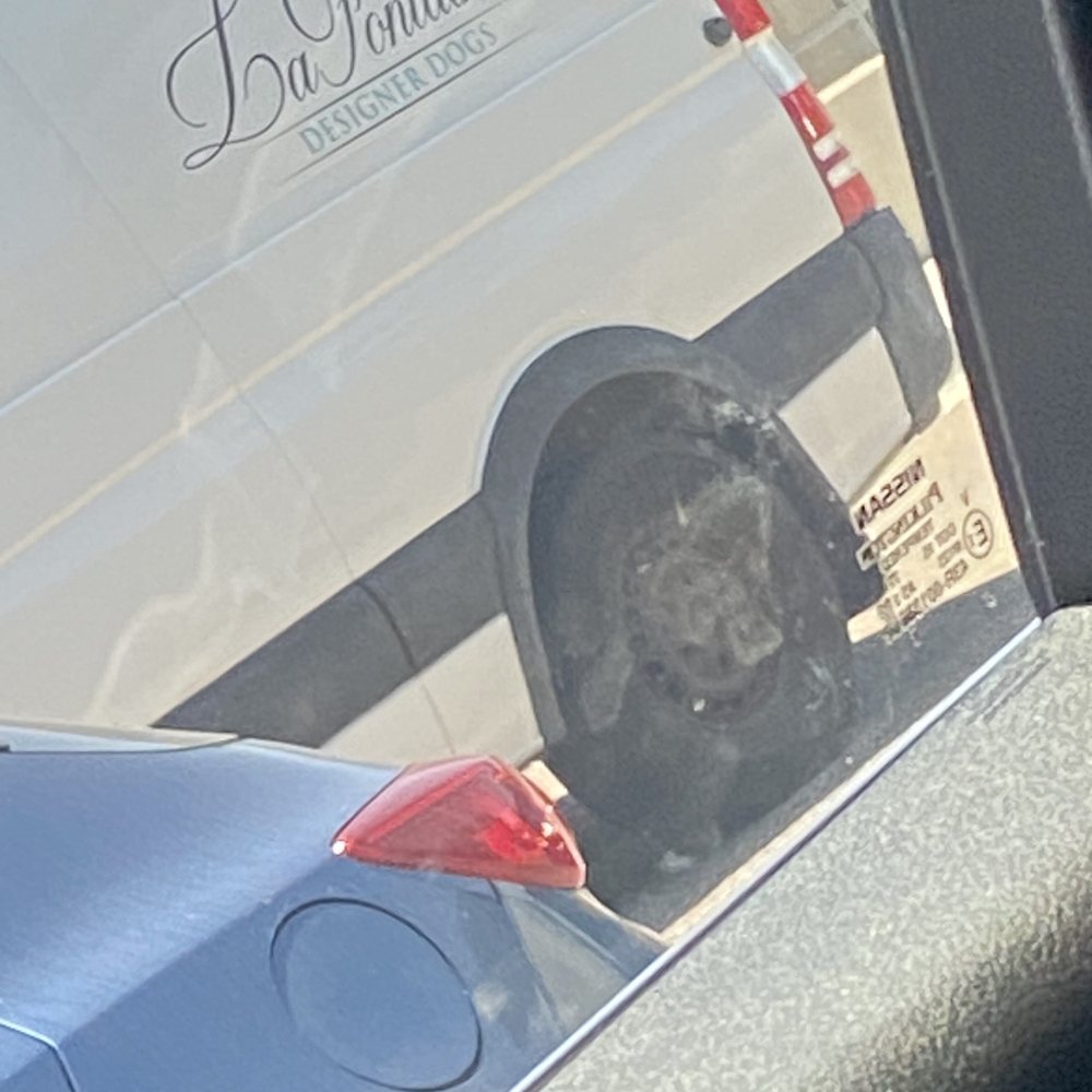 Encinitas Car Wash - Poor detailing job!!! - Car Wash Near Me - Encinitas, California Encinitas Car Wash - Poor detailing job!!! - Car Wash Near Me - Encinitas, California