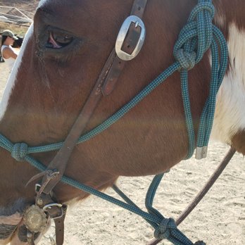 Wine Country Trails by Horseback - Tours Near Me - Temecula, California