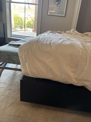 The Beatrice by null The Beatrice by null