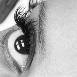 My Lash & Brow Studio - Fierce and Classic