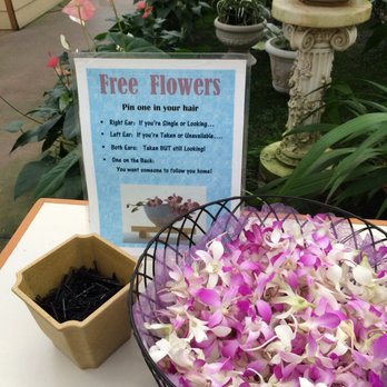 Akatsuka Orchid Gardens - Flowers & Gifts Near Me - Volcano, Hawaii