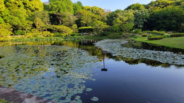 Imperial Palace East National Gardens by null
