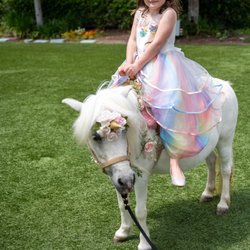 Unicorn rides