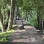 Cedar Grove Adventure Track