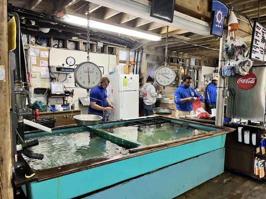Young's Lobster Pound by null