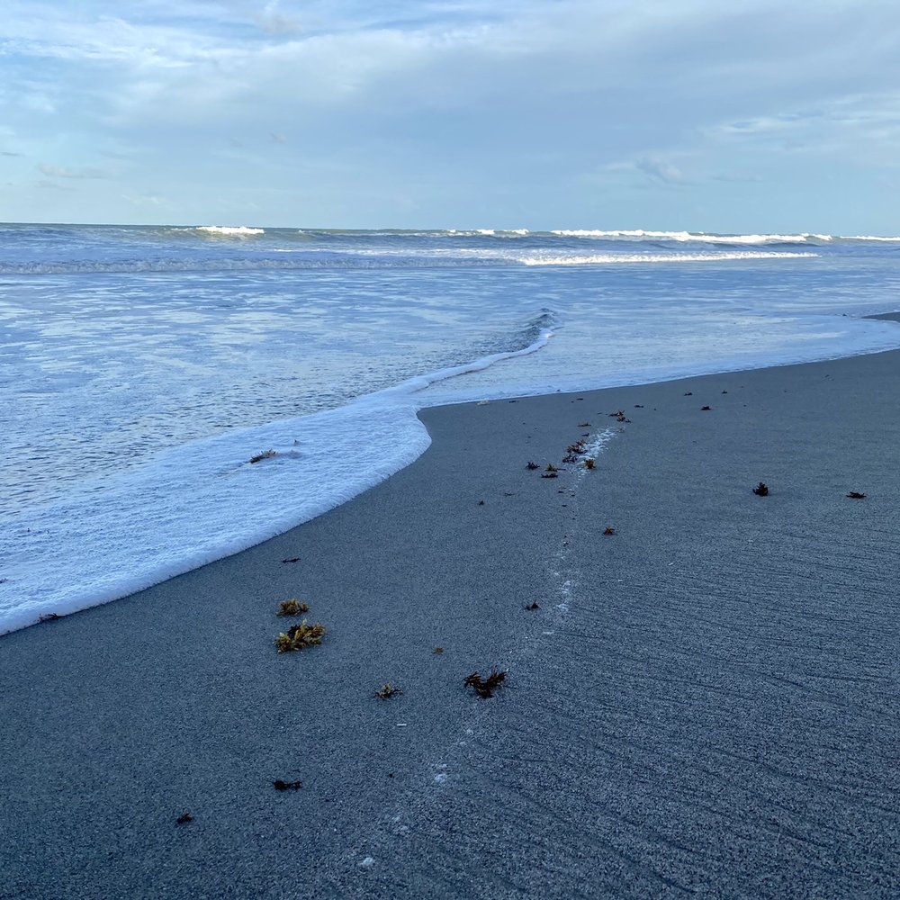 Millenium Beach Park - Beach - Parks Near Me - Satellite Beach, Florida Millenium Beach Park - Beach - Parks Near Me - Satellite Beach, Florida