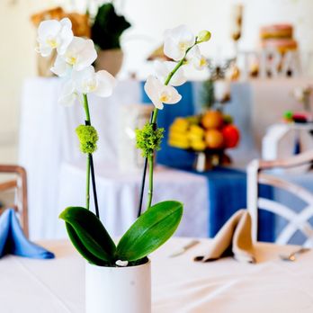Color Tree Event - Party & Event Planning Near Me - Buena Park, California Color Tree Event - Party & Event Planning Near Me - Buena Park, California