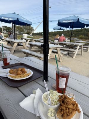 The Seafood Shanty by null