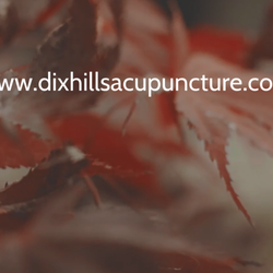 Dix Hills Family Acupuncture