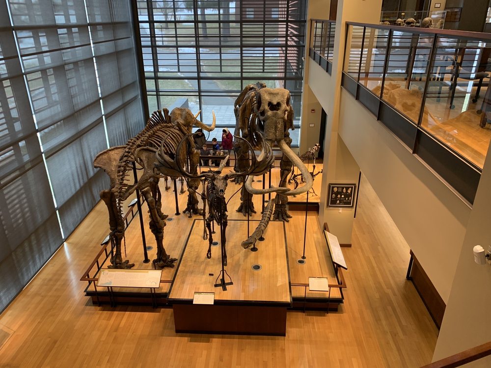 Social spots from Beneski Museum of Natural History