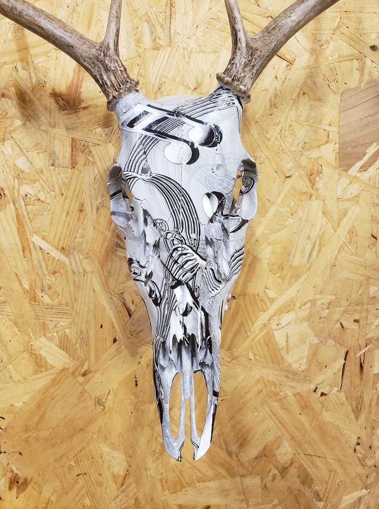 3rd Coast Skull Works - taxidermy in Muskegon, MI
