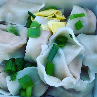 The Daily Dumpling Wonton Co by null