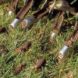 M&M Lawn Services
