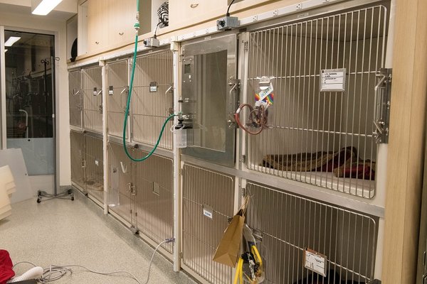 West Village Veterinary Hospital by null