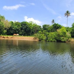 La Paseadora Bay Tours