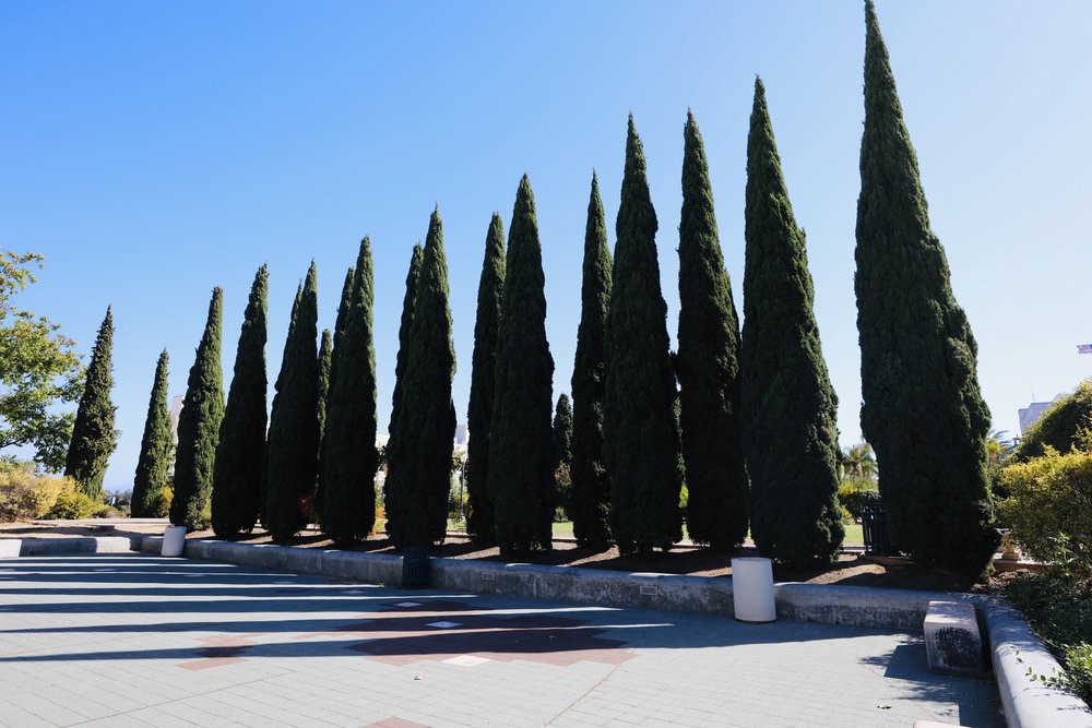Photo of Balboa Park Activity Center