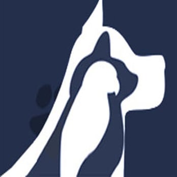 All Animal Clinic - All Animal Clinic Key West, FL - Veterinarians Near Me - Key West, Florida All Animal Clinic - All Animal Clinic Key West, FL - Veterinarians Near Me - Key West, Florida