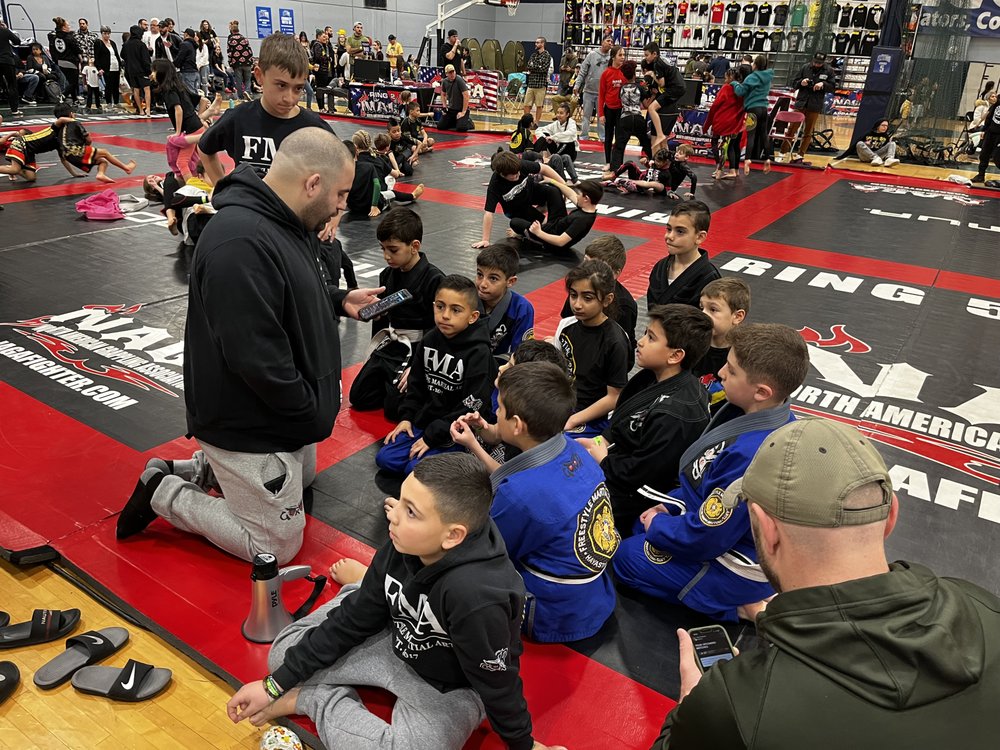 Freestyle Martial Arts Logo